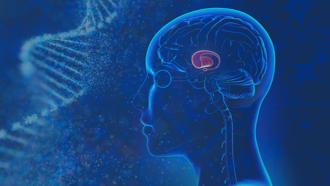 Phase III Trial of ASO Therapy for the Treatment of Huntington’s Disease Halted