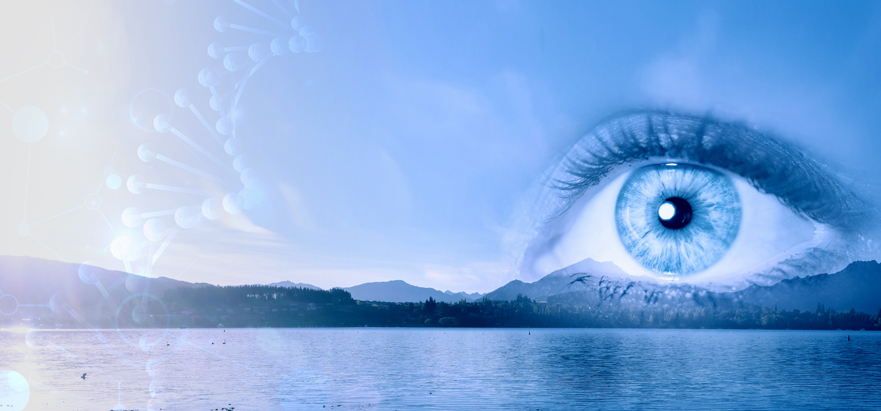 Oligonucleotide Therapeutics – Restoring Sight to the Blind
